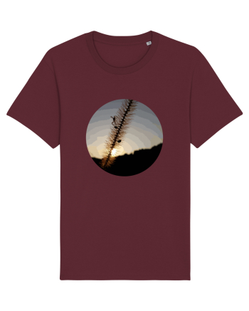 Photo Illustration - macro in the sunset 1 Burgundy