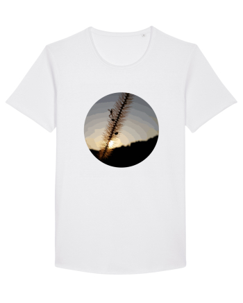 Photo Illustration - macro in the sunset 1 White