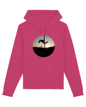 Photo Illustration - macro in the sunset 2 Raspberry