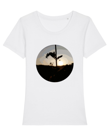 Photo Illustration - macro in the sunset 2 White