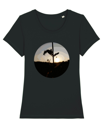 Photo Illustration - macro in the sunset 2 Black