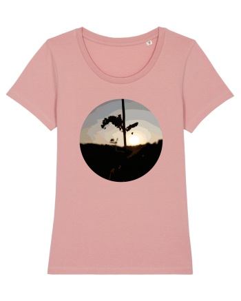 Photo Illustration - macro in the sunset 2 Canyon Pink