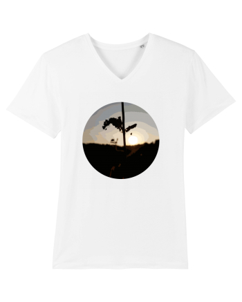 Photo Illustration - macro in the sunset 2 White