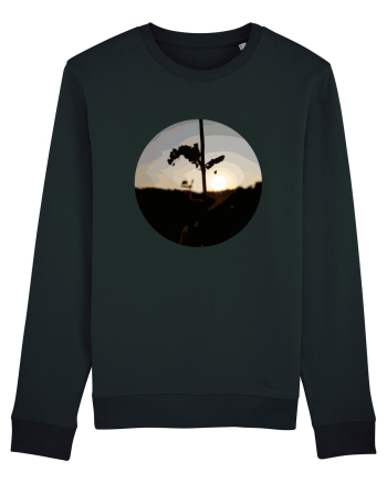 Photo Illustration - macro in the sunset 2 Black