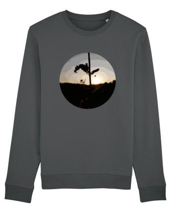 Photo Illustration - macro in the sunset 2 Anthracite