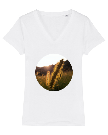 Photo Illustration - macro in the sunset 3 White