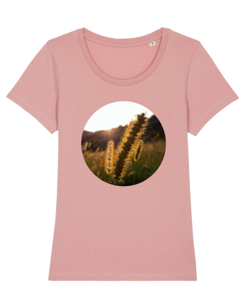 Photo Illustration - macro in the sunset 3 Canyon Pink