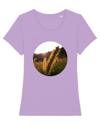 Photo Illustration - macro in the sunset 3 Lavender Dawn