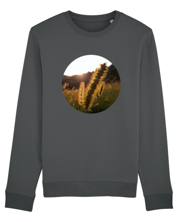 Photo Illustration - macro in the sunset 3 Anthracite