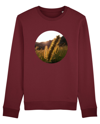Photo Illustration - macro in the sunset 3 Burgundy
