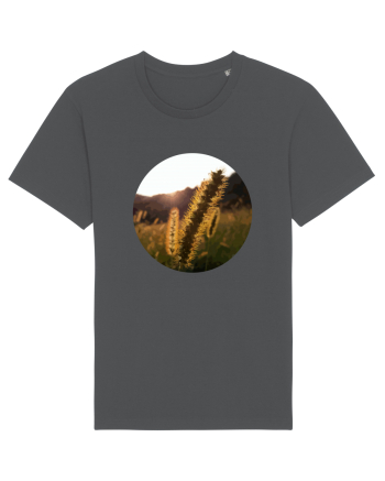 Photo Illustration - macro in the sunset 3 Anthracite