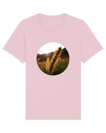Photo Illustration - macro in the sunset 3 Cotton Pink