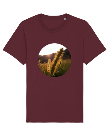 Photo Illustration - macro in the sunset 3 Burgundy