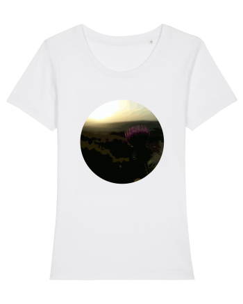 Photo Illustration - macro in the sunset 4 White