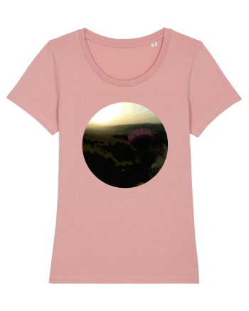 Photo Illustration - macro in the sunset 4 Canyon Pink