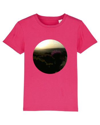 Photo Illustration - macro in the sunset 4 Raspberry