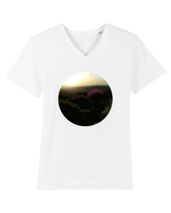 Photo Illustration - macro in the sunset 4 White