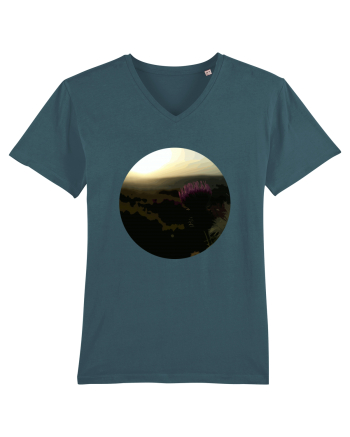 Photo Illustration - macro in the sunset 4 Stargazer