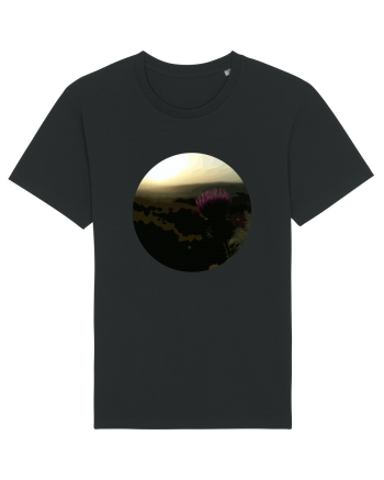 Photo Illustration - macro in the sunset 4 Black