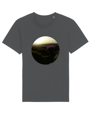 Photo Illustration - macro in the sunset 4 Anthracite