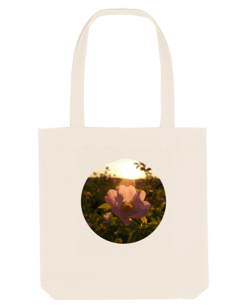 Photo Illustration - macro in the sunset 5 Natural