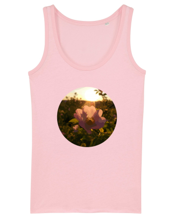 Photo Illustration - macro in the sunset 5 Cotton Pink