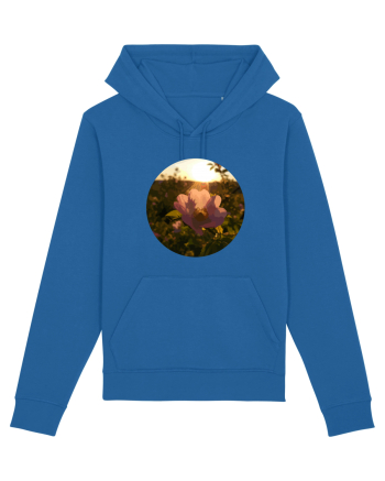 Photo Illustration - macro in the sunset 5 Royal Blue