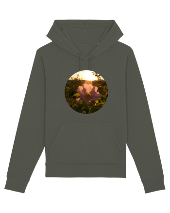 Photo Illustration - macro in the sunset 5 Khaki
