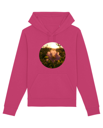 Photo Illustration - macro in the sunset 5 Raspberry