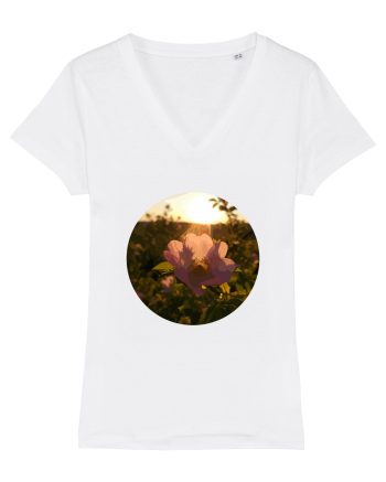 Photo Illustration - macro in the sunset 5 White