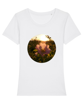 Photo Illustration - macro in the sunset 5 White