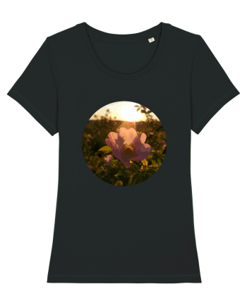Photo Illustration - macro in the sunset 5 Black
