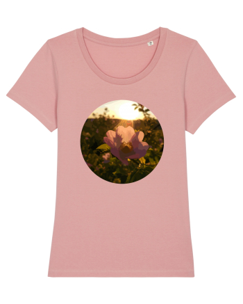 Photo Illustration - macro in the sunset 5 Canyon Pink