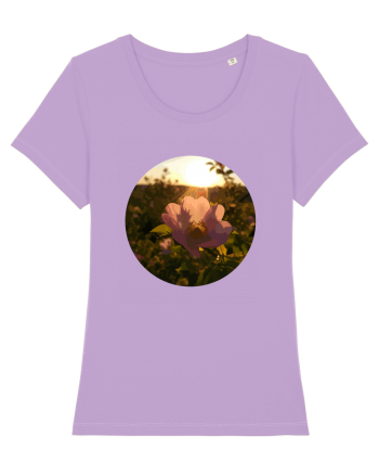 Photo Illustration - macro in the sunset 5 Lavender Dawn