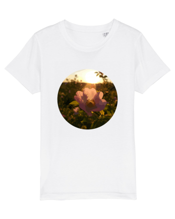 Photo Illustration - macro in the sunset 5 White