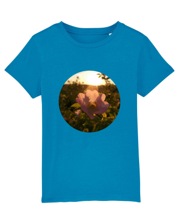 Photo Illustration - macro in the sunset 5 Azur