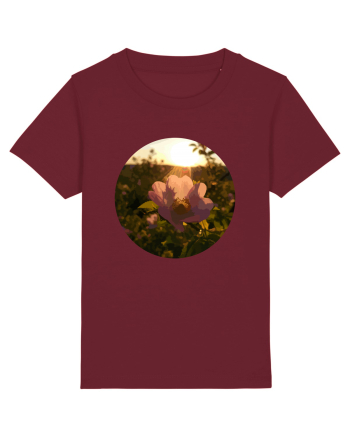 Photo Illustration - macro in the sunset 5 Burgundy