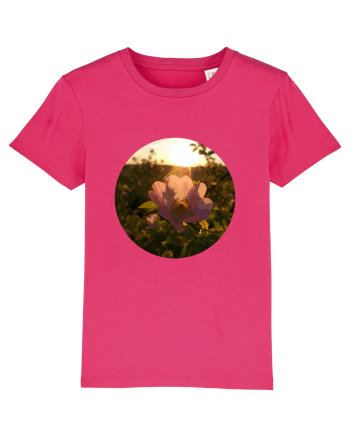 Photo Illustration - macro in the sunset 5 Raspberry