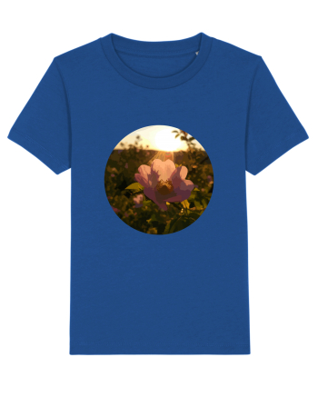 Photo Illustration - macro in the sunset 5 Majorelle Blue