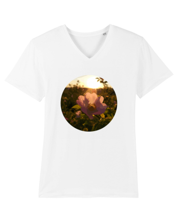 Photo Illustration - macro in the sunset 5 White