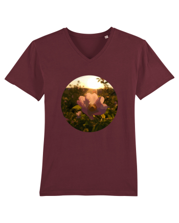 Photo Illustration - macro in the sunset 5 Burgundy