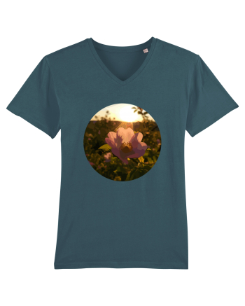 Photo Illustration - macro in the sunset 5 Stargazer