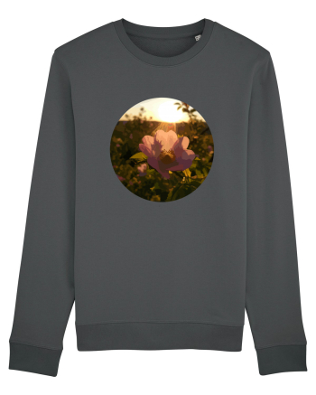 Photo Illustration - macro in the sunset 5 Anthracite