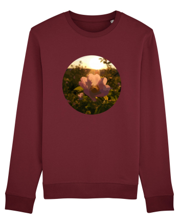 Photo Illustration - macro in the sunset 5 Burgundy