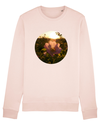 Photo Illustration - macro in the sunset 5 Candy Pink