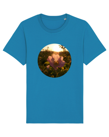Photo Illustration - macro in the sunset 5 Azur
