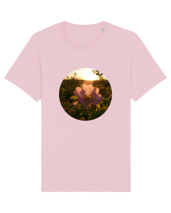Photo Illustration - macro in the sunset 5 Cotton Pink
