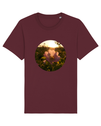 Photo Illustration - macro in the sunset 5 Burgundy