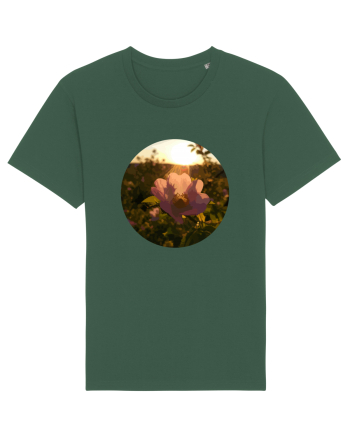Photo Illustration - macro in the sunset 5 Bottle Green