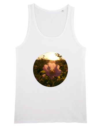 Photo Illustration - macro in the sunset 5 White